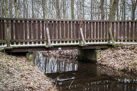 bro, bach, rækværk, flod, træer, Skov, spejling, farvande, blade, efterår, vinter, vand, flyde, forbindelse, bro - menneskeskabt struktur, træ, arkitektur, bygget struktur, plante, natur, ingen mennesker, transportmidler, dag, gangbro, afspejling, havnefronten, udendørs, bue bro, 5K, CC0, offentligt domæne, royaltyfrie