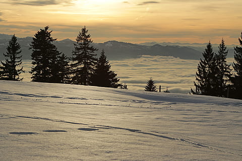 por do sol, alpino, inverno, romântico, Suíça, Áustria, montanhas, céu, panorama, natureza, neve, tarde, nuvens, iluminação, resplendor, abendstimmung, alm, alpes, feriado, crepúsculo, Céu laranja, romance, lindo, humor, pôr do sol, quieto, descansar, leve, floresta, relaxamento, algodão, nuvens de algodão, temperatura fria, beleza na natureza, scenics - natureza, cena tranquila, árvore, tranquilidade, montanha, plantar, nuvem - céu, cena não urbana, cobertura, meio Ambiente, ninguém, montanha coberta de neve, Pinheiro, árvore conífera, 5K, CC0, domínio público, royalty free