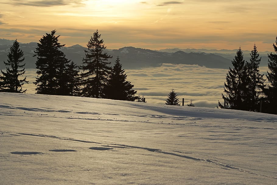 por do sol, alpino, inverno, romântico, Suíça, Áustria, montanhas, céu, panorama, natureza, neve, tarde, nuvens, iluminação, resplendor, abendstimmung, alm, alpes, feriado, crepúsculo, Céu laranja, romance, lindo, humor, pôr do sol, quieto, descansar, leve, floresta, relaxamento, algodão, nuvens de algodão, temperatura fria, beleza na natureza, scenics - natureza, cena tranquila, árvore, tranquilidade, montanha, plantar, nuvem - céu, cena não urbana, cobertura, meio Ambiente, ninguém, montanha coberta de neve, Pinheiro, árvore conífera, 5K