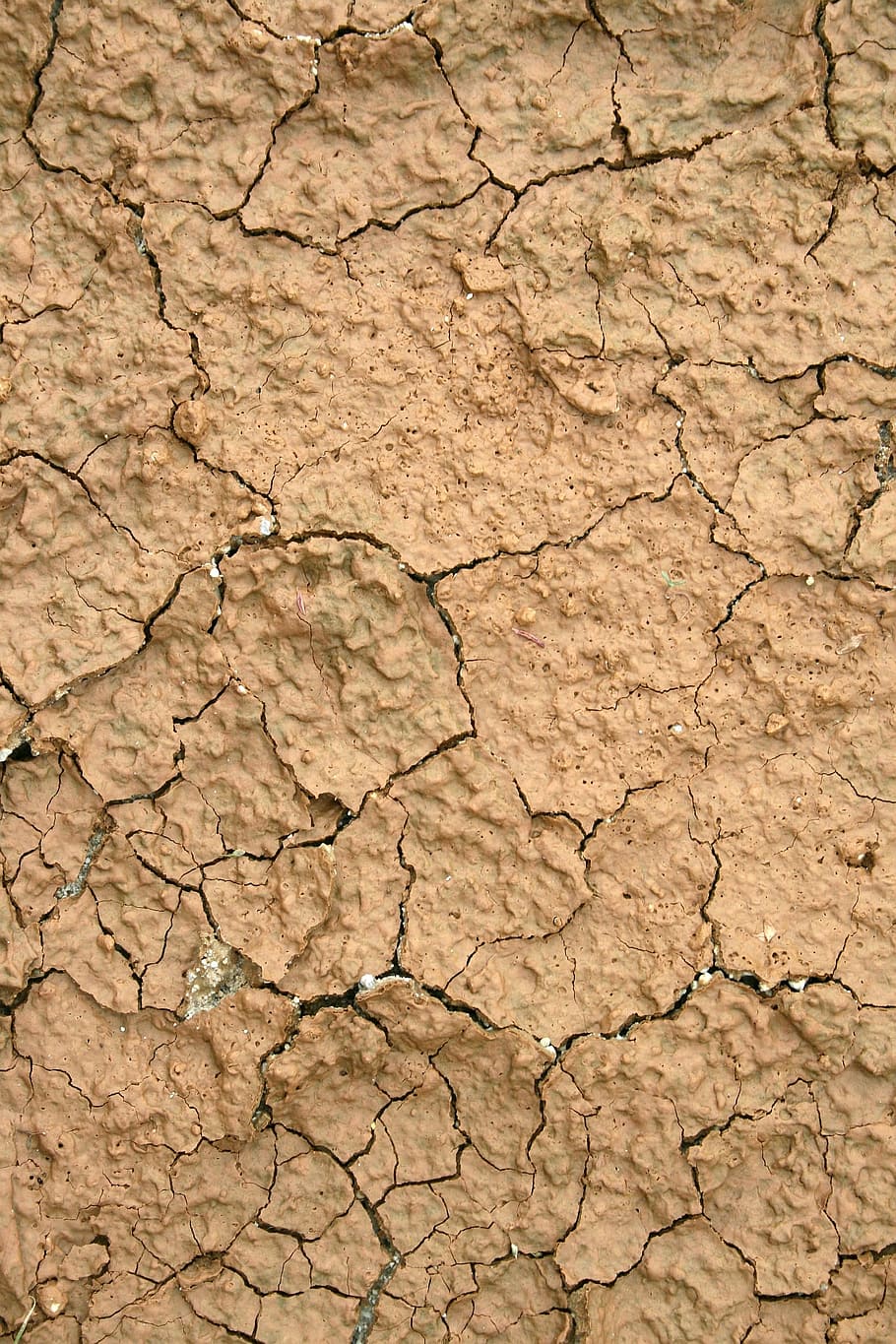 sòl, fang, crack, sec, sequera, el creuer de luxe, superfície, estructura, argila, mostra, fons, esquerdat, clima àrid, brutícia, terra, clima, textura, medi ambient, escenics - natura, estèril, terrenys extrems, cap gent, naturalesa, aspre, marró, patró natural, patró, efecte texturat, a l'aire lliure, brut, trencament, 1080P