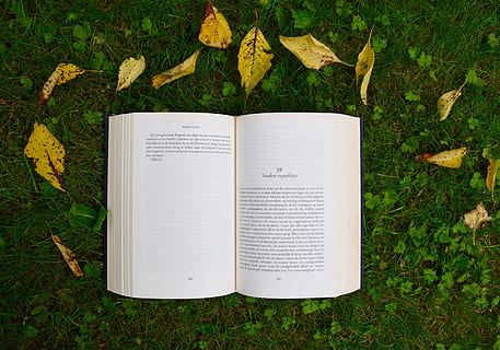öppnade boken, bok, läsning, studie, skola, grön, gräs, utomhus-, offentliggörande, växt, natur, växtdel, blad, fält, dag, högvinkelvy, höst, landa, öppna, inget folk, sida, tillväxt, papper, kommunikation, text, Byta, utomhus, löv, tom, 5K, CC0, offentligt domän, royaltyfria