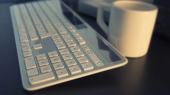 blanc, sans fil, clavier d'ordinateur, agresser, clavier, ordinateur, l'Internet, travail, ordinateur de bureau, technologie d'équipement, le web, écrire, lieu de travail, Blog, pc, équipement informatique, La technologie, la communication, Technologie sans fil, fermer, portable, lien, à l'intérieur, personne, lettre, alphabet, partie informatique, texte, mise au point sélective, tasse, table, clé d'ordinateur, 4K, CC0, domaine public, libre de droits