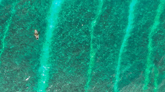 top, view, white, boat, body, water, daytime, untitled, photo, person, surfboard, water surface, microscope, biology, scientific Micrograph, science, light Micrograph, microbiology, high-scale Magnification, histology, cell, backgrounds, microscope Slide, magnification, abstract, research, bacterium, human Cell, green color, high angle view, swimming pool, nature, sea, turquoise colored, day, swimming, leisure activity, real people, outdoors, people, lifestyles, motion, waterfront, unrecognizable person, beauty in nature, sport, men, floating on water, 4K, CC0, public domain, royalty free