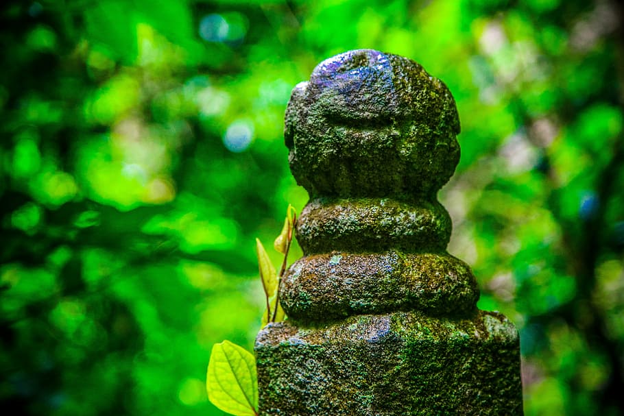 scultura in pietra, bracciolo, sfocatura, pila, equilibrio, giorno, concentrarsi sulle conoscenze acquisite, nessuno, colore verde, muschio, grande gruppo di oggetti, all'aperto, natura, pietra - oggetto, solido, avvicinamento, foresta, pietra, roccia, albero, zen, multicolore, pianta, roccia - oggetto, ciottolo, giardino ornamentale, 5K