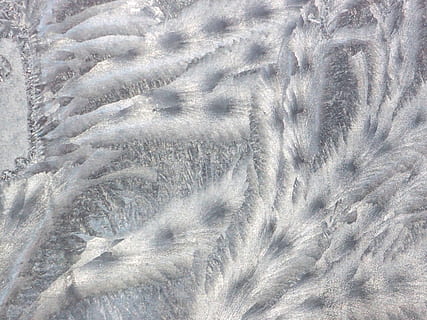 Frost, Fenster, Muster, Winter, kalt, Winter-Muster, Muster am Fenster, Eisblume, schön, Schönheit, Hintergründe, Vollbild, keine Leute, Weichheit, Natur, Tag, Nahansicht, texturiert, Land, weiße Farbe, Schönheit in der Natur, draußen, High Angle View, Tier, Feld, Ruhe, kalte Temperatur, natürliches Muster, Tierthemen, 2K, CC0, gemeinfrei, lizenzfrei