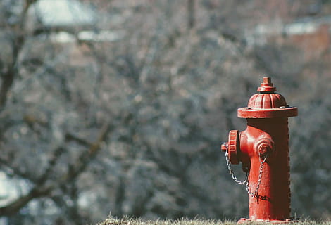 selectivo, fotografía de enfoque, rojo, foto de la boca de incendios, tomado, tiempo de día, foto de enfoque, hidratante, boca de incendio, boca de aguas, cadena, fuera de, objeto, seguridad, la seguridad, proteccion, accidentes y desastres, día, nadie, metal, centrarse en primer plano, naturaleza, al aire libre, arquitectura, agua, solo objeto, estructura construida, pared - característica de la construcción, comunicación, conexión, exterior del edificio, en el borde de, 2K, CC0, dominio público, libre de derechos