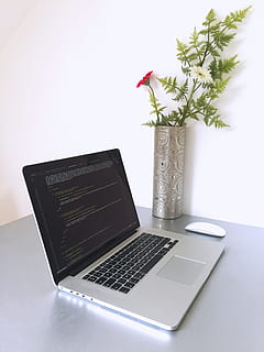 Macbook Pro, code, codage, ordinateur, portable, macbook, la programmation, La technologie, plante, Technologie sans fil, la communication, table, lien, à l'intérieur, la nature, personne, vase, plante à fleurs, fleur, nature morte, intérieur de la maison, dispositif d'information portable, plante en pot, journée, croissance, plante d'appartement, 2K, CC0, domaine public, libre de droits