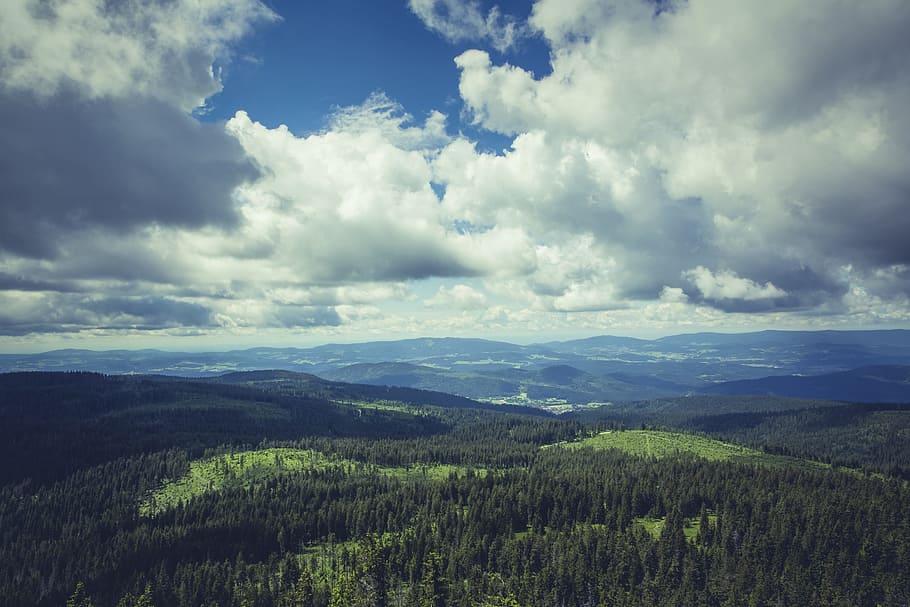antenne, Foto, regnskov, mere, bestemmelsessted, udsigt, udsigtspunkt, bjerg, fritid, drage nytte af, plateau, steder af interesse, markedsføring, turisme, ferie, vandring, reklame, bayersk skov, Skov, landskab, træer, klippe, fjernsyn, fremsyn, sky - himmel, himmel, miljø, scenics - natur, skønhed i naturen, ro, rolig scene, plante, natur, jord, ingen mennesker, dag, vækst, ikke-urbane scene, grøn farve, træ, udendørs, 5K