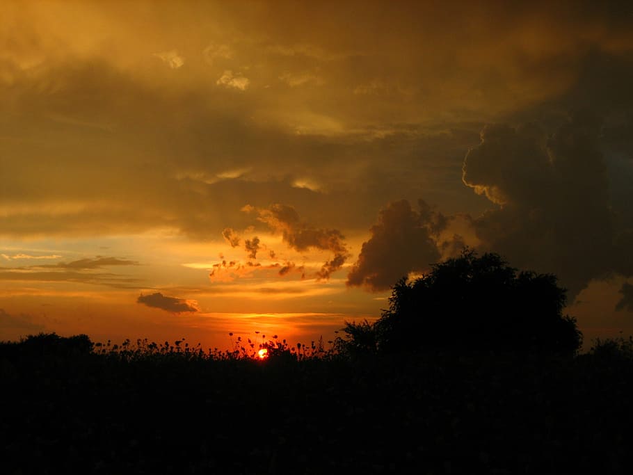 oest, sol, núvols, posta de sol, silueta, naturalesa, núvol - cel, escenics, cap gent, cel, bellesa a la natura, escenics - natura, arbre, escena tranquil·la, tranquil·litat, planta, color taronja, medi ambient, idíl·lic, escena no urbana, cel dramàtic, paisatge, a l'aire lliure, fosc, 2K
