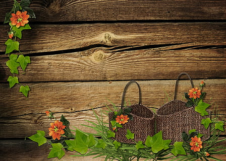 to, Brun, vævet, kurve, orange, blomster, rustik, blade, efterår, dekoration, taksigelse, sæson, høst, farverig, træ, baggrund, træ - materiale, natur, blad, baggrunde, blomst, plante, blomstrende plante, vækst, ingen mennesker, skønhed i naturen, friskhed, plante del, dag, bord, skrøbelighed, udendørs, mønster, sårbarhed, grøn farve, murbygningsfunktion, blomsterhoved, 1080P, CC0, offentligt domæne, royaltyfrie