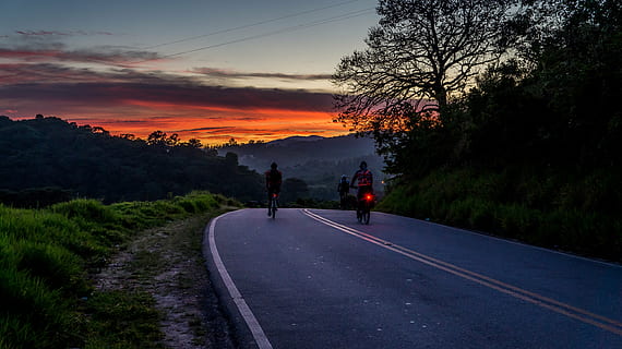 Due, persone, equitazione, bicicletta, grigio, calcestruzzo, strada, giorno, foresta, mato, infinito, bellezza, pianta, verde, paesaggio, alberi, vegetazione, ambiente, boschi, le foglie, mata atlantica, tronco, legna, volante, natura, flora, botanico, giro, sentiero, rilassare, sol, brasile, silenzioso, camminare, pista, sabbia, contemplazione, alba, Ciclismo, viaggio, adrenalina, sport, vacanze, ciclista, la tranquillità, avventura, prospettiva, turismo, radicale, visivo, tempo libero, pedale, estate, cielo, casco, Salute, mezzi di trasporto, tramonto, la strada davanti, albero, all'aperto, Paesaggi, bellezza nella natura, cartello, segnaletica stradale, direzione, simbolo, marcatura, nuvola - cielo, scenics - natura, persone reali, uomini, strada di campagna, 5K, CC0, dominio pubblico, privo di copyright