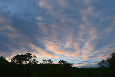cel, posta de sol, núvols, llum, naturalesa, natural, arbres, silueta, llum solar, blau, horitzó, temps, color, cel del capvespre, rural, a l'aire lliure, temporada, cloudscape, primavera, taronja, arbre, bellesa a la natura, núvol - cel, planta, escenics - natura, tranquil·litat, escena tranquil·la, cap gent, creixement, idíl·lic, escena no urbana, vista d’angle baix, arc de Sant Martí, paisatge, arbre d’arbre, 4K, CC0, domini públic, lliure de regalies