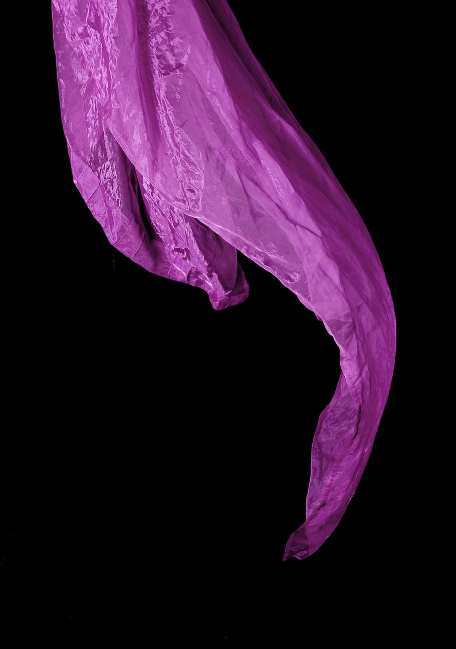 tèxtil morat, drap, tèxtil, porpra, color negre, fons negre, tir de l'estudi, cap gent, a l'interior, còpia espai, primer pla, tallar, pètal, bellesa a la natura, naturalesa, color rosa, frescor, inflorescència, flor, planta amb flors, cap de flor, aigua, vulnerabilitat, 4K