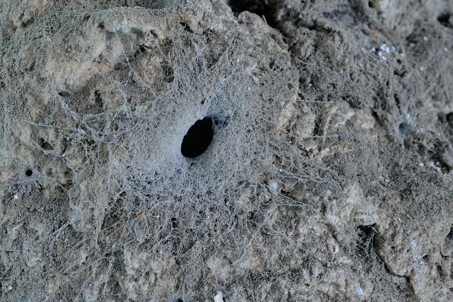 Netz, Textur, Spinne, Nest, Spinnennest, grau, keine Leute, texturiert, Nahansicht, Tag, draußen, Loch, Vollbild, Hintergründe, Natur, Muster, Rau, High Angle View, Land, Geometrische Figur, Tiernest, gestalten, Strand, solide, Rock, Schmutz, Schlamm, Beton, 4K