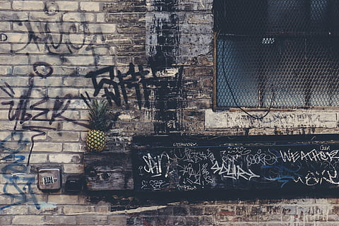ananas meyve, üst, kahverengi, kenar, vandallar, beyaz, tuğla duvar, Ananas, pencere, tuğla, bina, boya, duvar yazısı, kentsel, duvar, meyve, dış, Rende, vandalizm, pencere kenarı, tahrip, yakıp yıkmak, yapılı yapı, mimari, dış yapı, duvar inşa özelliği, insansız, gün, eski, Güneş ışığı, merdiven, açık havada, Metin, terkedilmiş, yerleşim bölgesi, 5K, CC0, kamu malı, telif ücretsiz
