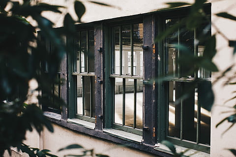Glazen raam, zwart, stalen frames, fotografie, grijs, metaal, omlijst, venster, bruin, bruinen, groen, bladeren, architectuur, gebouw, buitenkant van het gebouw, ingebouwde structuur, glas - materiaal, dag, geen mensen, woonwijk, buitenshuis, selectieve aandacht, reflectie, huis, zonlicht, transparant, natuur, stad, zuilengang, veiligheid, 5K, CC0, publiek domein, royaltyvrij