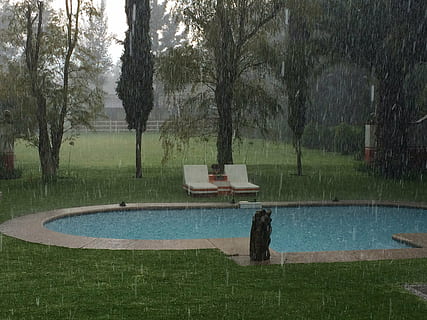 regn, vand, pool, træ, plante, natur, græs, svømmepøl, træstamme, dag, ingen mennesker, bagagerum, parkere, vækst, skønhed i naturen, ro, fravær, sæde, sø, udendørs, oppustelige, 2K, CC0, offentligt domæne, royaltyfrie