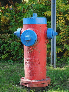 hydrant, Červené, oheň, hořící, požár, prevence, voda, rostlina, Příroda, požární hydrant, den, kov, tráva, bezpečnostní, text, přistát, bezpečnost, modrý, ochrana, sdělení, pole, západní skript, nikdo, venku, zelená barva, růst, 720P, CC0, veřejná doména, bez autorských práv