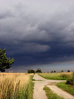 væk, tordenvejr, skyer, humør, himmel, storm, atmosfære, dyster, landskab måde, vejr, bane, winder stimmung, sky - himmel, Mark, natur, landskab, landlige scene, træ, plante, skønhed i naturen, rolig scene, miljø, scenics - natur, ro, jord, vækst, overskyet, ingen mennesker, græs, vejen frem, udendørs, 2K, CC0, offentligt domæne, royaltyfrie