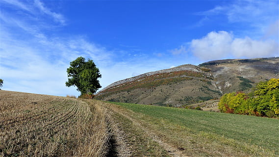 paisatge, camps, caure, naturalesa, arbres, muntanya, cel, pre, agricultura, camp, medi ambient, planta, terra, escenics - natura, núvol - cel, arbre, carretera, bellesa a la natura, tranquil·litat, cap gent, escena tranquil·la, brutícia, dia, Carretera bruta, escena no urbana, a l'aire lliure, 4K, CC0, domini públic, lliure de regalies