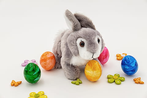 grijs, wit, konijn, pluche, speelgoed-, eierspeelgoed, haas, paashaas, Paas eieren, Pasen, Pasen-thema, ei, kleurrijke eieren, zacht speelgoed, knuffel, knuffelbeer, decoratie, deco, voedsel, studio opname, dier, eten en drinken, zoogdier, binnenshuis, witte achtergrond, multi gekleurd, viering, paasei, dierlijke thema's, geen mensen, gezond eten, dierlijke representatie, schattig, huisdieren, 5K, CC0, publiek domein, royaltyvrij