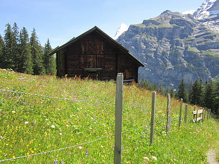 Alpler, loca, yol, alp, yürüyüş, dağ, tatil, kulübe, yeniden yaratma, isviçre, ahşap malzeme, gün, yapılı yapı, scenics, insansız, bitki, doğada güzellik, mimari, arazi, doğa, ağaç, manzaralar - doğa, alan, büyüme, çimen, dış yapı, peyzaj, huzur, sakin sahne, gökyüzü, açık havada, kabin, 4K, CC0, kamu malı, telif ücretsiz