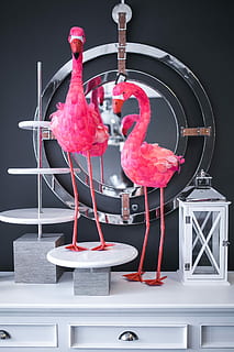 pink, flamingo home decorations, Pink Flamingo, Home, Decorations, interior, home decor, flamingo, red, bird, performance, black background, balance, no people, day, indoors, table, animal themes, still life, food and drink, animal, nature, studio shot, close-up, pink color, metal, representation, vertebrate, standing, food, 2K, CC0, public domain, royalty free