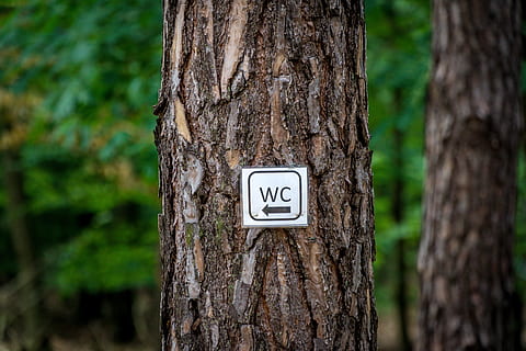 Toilet, Skov, skjold, træ, kald af naturen, brug for, udendørs, natur, træstamme, fokus på forgrunden, dag, bagagerum, plante, jord, ingen mennesker, skilt, meddelelse, vækst, nummer, tæt på, tekst, ro, symbol, 5K, CC0, offentligt domæne, royaltyfrie