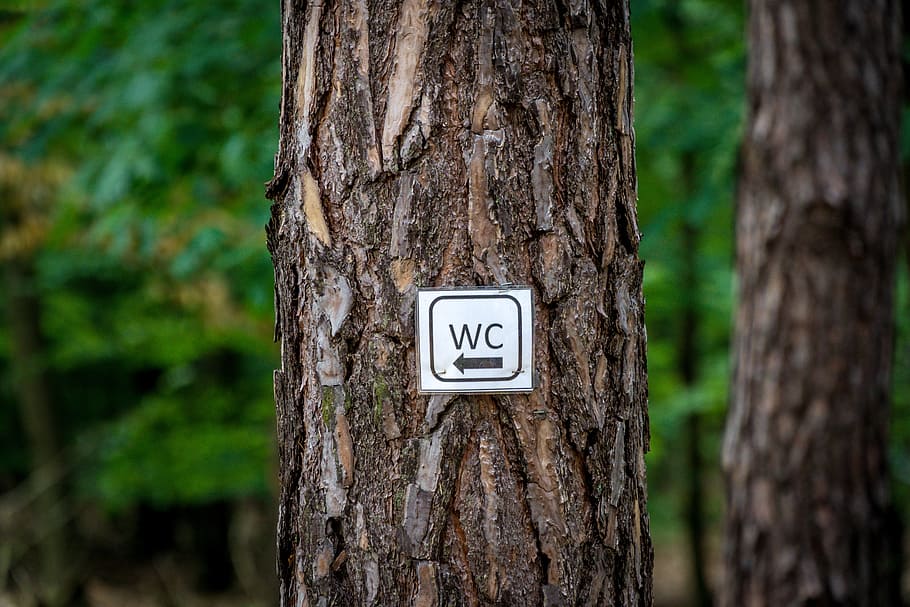 Toilet, Skov, skjold, træ, kald af naturen, brug for, udendørs, natur, træstamme, fokus på forgrunden, dag, bagagerum, plante, jord, ingen mennesker, skilt, meddelelse, vækst, nummer, tæt på, tekst, ro, symbol, 5K