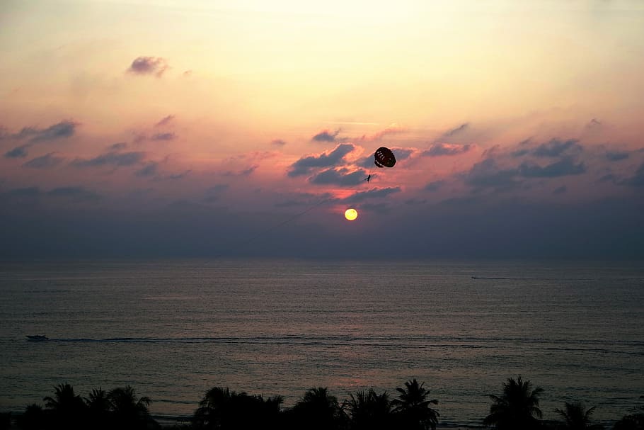 silhouette, alberi, paracadute, riva del mare, d'oro, ore, aereo, foto, corpo, acqua, sole, cielo, tramonto, volante, bellezza nella natura, scenics - natura, nuvola - cielo, mare, natura, la tranquillità, colore arancione, scena tranquilla, spiaggia, orizzonte sull'acqua, terra, mezz'aria, idilliaco, nessuno, all'aperto, 5K