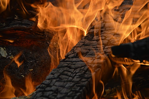 brand, brænd, lejrbål, flamme, træ, ild, træ brand, mærke, flamme pejs, ingen mennesker, varme - temperatur, brænding, tæt på, natur, brand - naturligt fænomen, log, træ - materiale, Brænde, orange farve, udendørs, bål, selektiv fokusering, jord, glødende, dag, meddelelse, 5K, CC0, offentligt domæne, royaltyfrie