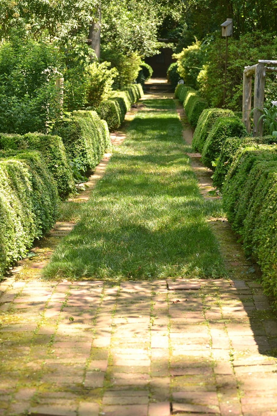 sentiero, giardino, pietra, verde, paesaggio, siepi, mattone, finitrici, fogliame, panoramico, camminare, passerella, parco, estate, primavera, pianta, direzione, la strada davanti, colore verde, nessuno, di fila, natura, erba, giorno, crescita, luce del sole, bellezza nella natura, la tranquillità, trampolino di lancio, prospettiva decrescente, albero, all'aperto, ombra, percorso del giardino, siepe, 4K