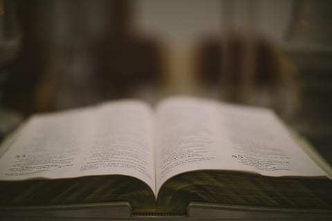 close-up photo, opened, book, white, printed, page, reading, open, focus on foreground, no people, education, indoors, close-up, day, publication, learning, paper, text, expertise, still life, selective focus, communication, activity, table, studying, literature, 5K, CC0, public domain, royalty free