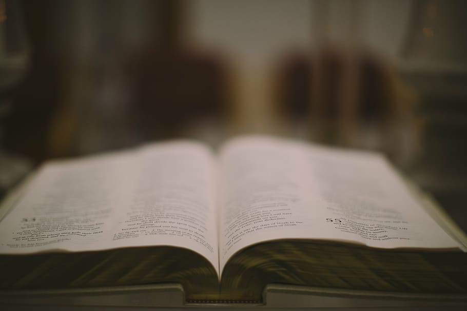 foto de primer pla, obert, llibre, blanc, imprès, pàgina, lectura, centrar-se en primer pla, cap gent, educació, a l'interior, primer pla, dia, publicació, aprenentatge, paper, text, experiència, natura morta, enfocament selectiu, comunicació, activitat, taula, estudiar, literatura, 5K