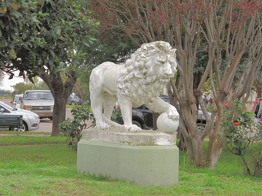 leon, estàtua, escultura, planta, art i artesania, representació, herba, dia, arbre, creativitat, parc, parc - l'home va fer espai, naturalesa, manera de transport, cotxe, automòbil, representació humana, artesania, cap gent, vehicle terrestre, 2K