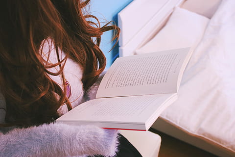 kvinne, holding, bok, kvinner, hunner, lesning, mennesker, utdanning, én person, læring, kaukasisk etnisitet, innendørs, student, studere, ung voksen, voksen, hjem interiør, livsstil, snø, bare kvinner, kun en kvinne, vinter, ekte folk, brunt hår, utgivelse, frisyre, uformelt antrekk, sitter, jenter, fritidsaktivitet, møbler, aktivitet, hår, tenåring, 1080P, CC0, offentlig domene, opphavsrett gratis
