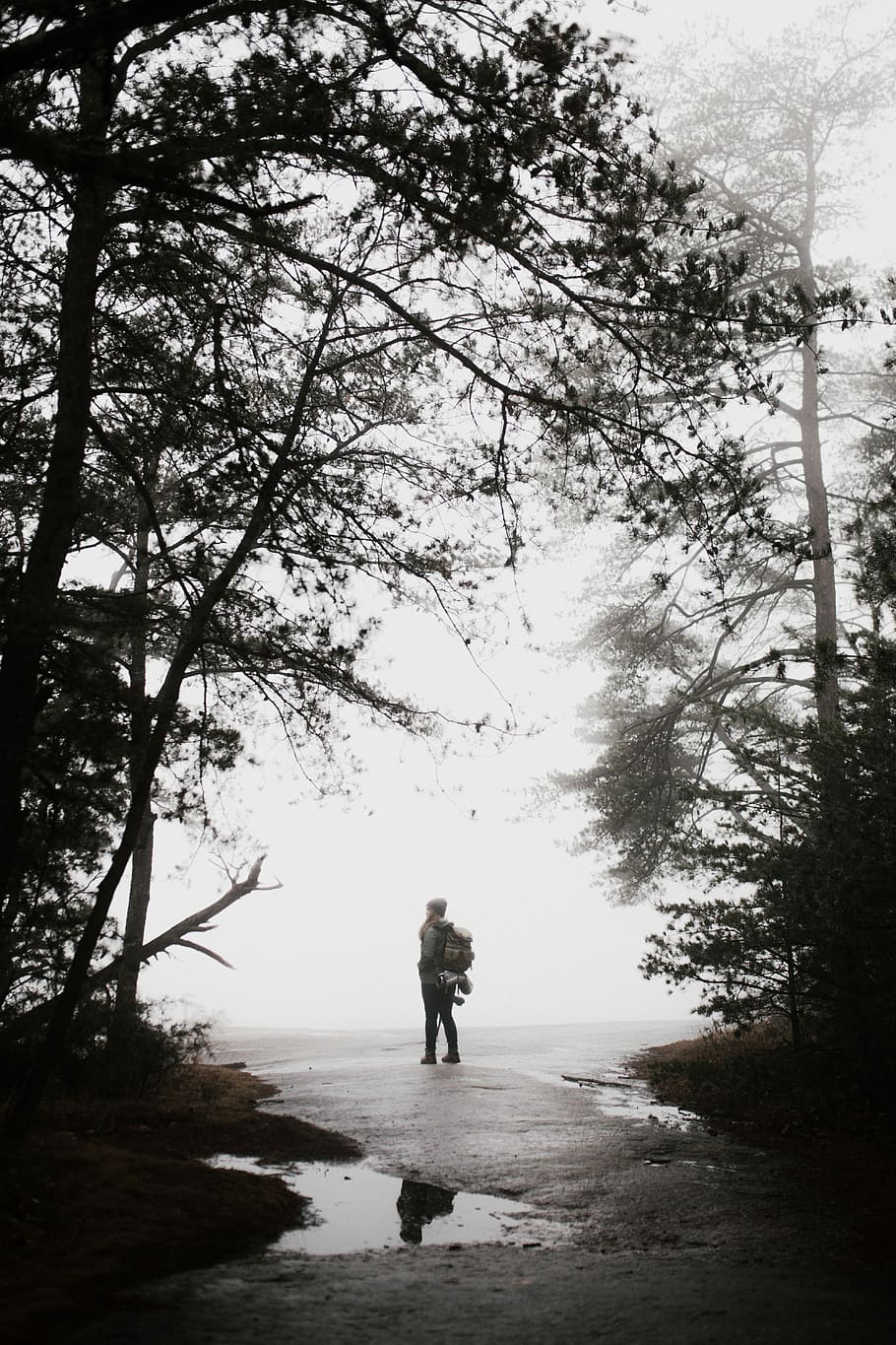 silhuet foto, person, stående, træ, mand, tåget, dagtimerne, sti, spore, pyt, afspejling, tapet, iPhone wallpapers, tåge, vandring, iphone baggrunde, lås skærm baggrund, rygsæk, plante, rigtige mennesker, natur, en person, dag, livsstil, fuld længde, vand, skønhed i naturen, jord, fritidsaktivitet, ro, herrer, himmel, vækst, udendørs, 5K