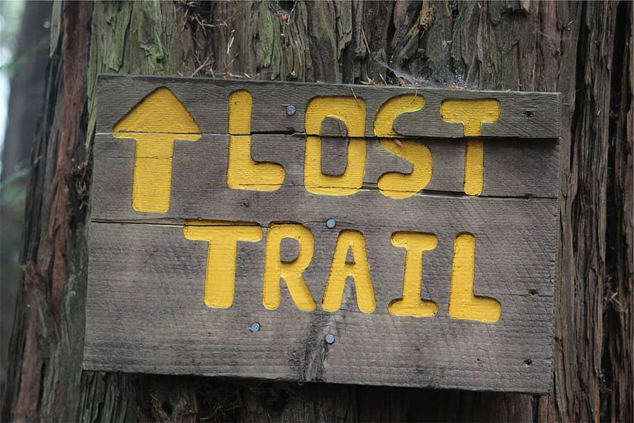 lost, trail, wooden, signage, sign, text, western script, communication, yellow, capital letter, close-up, no people, day, outdoors, wood - material, information, tree trunk, information sign, trunk, tree, script, non-western script, warning sign, guidance, message, 1080P