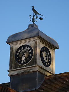 Glockenturm, Turm, Uhr, Wind, alt, Windfahne, Uhr, Wetterfahne, Schaufel, Himmel, Wetterhahn, Messung, Spinnen, Instrument, Meteorologe, Richtung, Wetter, Norden, west, Osten, Turm, traditionell, Zeit, die Architektur, Minutenzeiger, gebaute Struktur, Flachwinkelansicht, Tierthemen, keine Leute, klarer Himmel, Tier, Gebäudehülle, Vogel, Gebäude, Natur, Tag, Wirbeltier, Instrument der Zeit, Tierwelt, Ziffernblatt, aufwendig, 5K, CC0, gemeinfrei, lizenzfrei