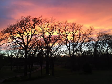 Sonnenuntergang, Orange, Sonne, Gelb, lila, Rosa, Himmel, Natur, Landschaft, rot, Sonnenlicht, Licht, Farbe, Wolke, Horizont, Abend, Sommer-, Dämmerung, Szene, szenisch, Silhouette, draussen, Bäume, still, glühen, friedlich, natürlich, Baum Silhouette, Wald, Umgebung, Reflexion, Ruhe, Gelassenheit, bunt, Blau, heiter, Frieden, Entspannen Sie Sich, Entspannung, Achtsamkeit, immer noch, Ruhe bewahren, ruhig bleiben, sich ausruhen, erholsam, Baum, Pflanze, kahler Baum, wolke - himmel, Schönheit in der Natur, keine Leute, Szenen - Natur, ruhige Szene, Land, orange Farbe, Feld, Nicht-städtische Szene, draußen, Wachstum, dunkel, 2K, CC0, gemeinfrei, lizenzfrei