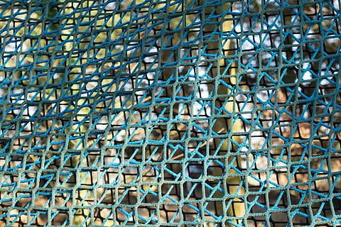 tanca, cadena, quadrícula, corda, naturalesa, parc, plantes, arbres, textura, marc complet, fons, patró, cap gent, blau, metall, estructura construïda, dia, primer pla, arquitectura, tanca d'enllaç de cadena, vista d’angle baix, límit, repetició, barrera, disseny, a l'aire lliure, indústria pesquera, 5K, CC0, domini públic, lliure de regalies