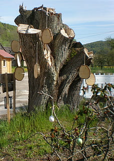 pääsiäispuu, pääsiäinen, kanto, Hung, puuristikot, muna-aluslevyt, muna, pääsiäismuna, puu, kasvi, puu - materiaali, luonto, päivä, ruoho, ei ihmisiä, maa, ala, ulkona, loki, puutavara, vesi, taivas, rakennettu rakenne, puun runko, runko, arkkitehtuuri, haukkua, 2K, CC0, public domain, rojaltivapaa