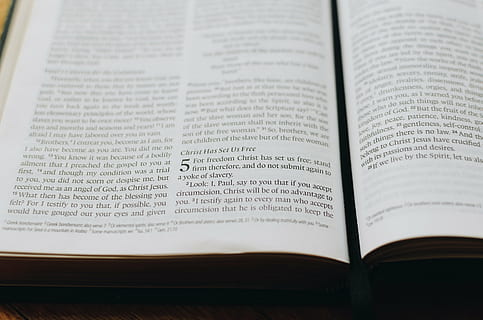 closeup, photography, book page, book, bible, scripture, reading, religion, spirituality, christianity, praying, publication, text, indoors, close-up, paper, open, no people, page, education, belief, communication, literature, wisdom, learning, still life, high angle view, expertise, textbook, studying, 2K, CC0, public domain, royalty free