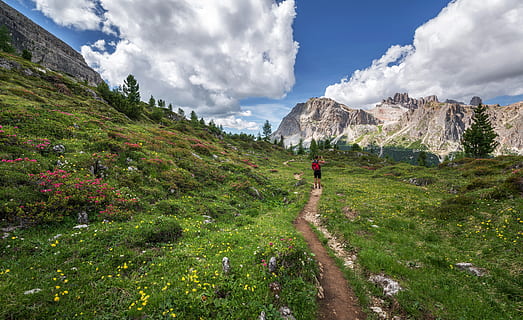 Landschaft, Berge, Natur, Himmel, Abenteuer, Alpen, Rucksack, Backpacker, wunderschönen, Erfassung, Wolken, Dolomiten, Umgebung, Blumen, Gras, hoch, Wanderung, Wanderer, Wandern, idyllisch, suchen, draußen, Pfad, Weg, friedlich, Person, Pflanzen, felsiger Berg, szenisch, still, Reise, reisender, Bäume, Trekking, Tal, Aussicht, wolke - himmel, Schönheit in der Natur, eine Person, Pflanze, Szenen - Natur, Freizeitbeschäftigung, in voller Länge, grüne Farbe, Berg, Fußweg, Aktivität, Land, Rückansicht, Blick auf Ansicht, 5K, CC0, gemeinfrei, lizenzfrei