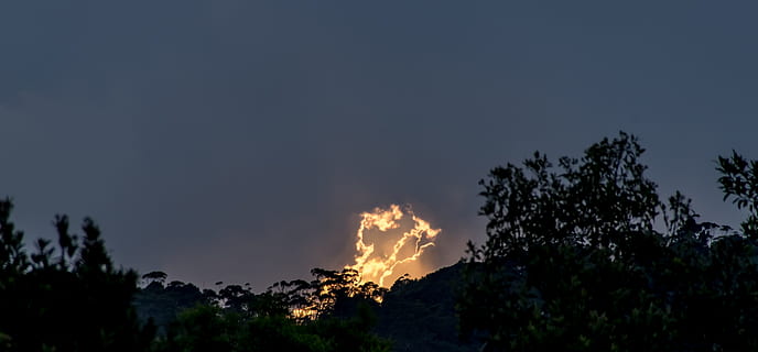 sunset, sky, cloud, fiery, bright, isolated, grey, dramatic, australia, horizon, trees, queensland, tree, burning, plant, fire - natural phenomenon, fire, nature, silhouette, forest, no people, forest fire, beauty in nature, heat - temperature, accidents and disasters, smoke - physical structure, environment, flame, environmental issues, environmental damage, scenics - nature, outdoors, pollution, power in nature, air pollution, 4K, CC0, public domain, royalty free