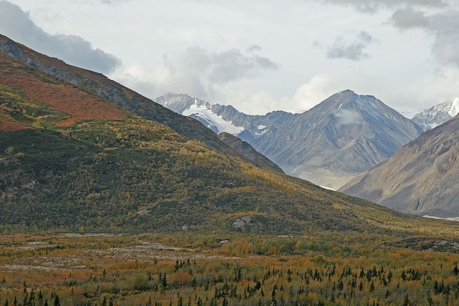 alaska, Skov, bjerge, træer, landskabet, ørken bjerg, tåge, tåget, himmel, tundra, efterår, sne, bjerg, scenics - natur, skønhed i naturen, landskab, miljø, bjergkæde, sky - himmel, rolig scene, ro, natur, ikke-urbane scene, ingen mennesker, jord, dag, plante, idyllisk, udendørs, fjern, dal, bjergrygge, rækkevidde, 4K