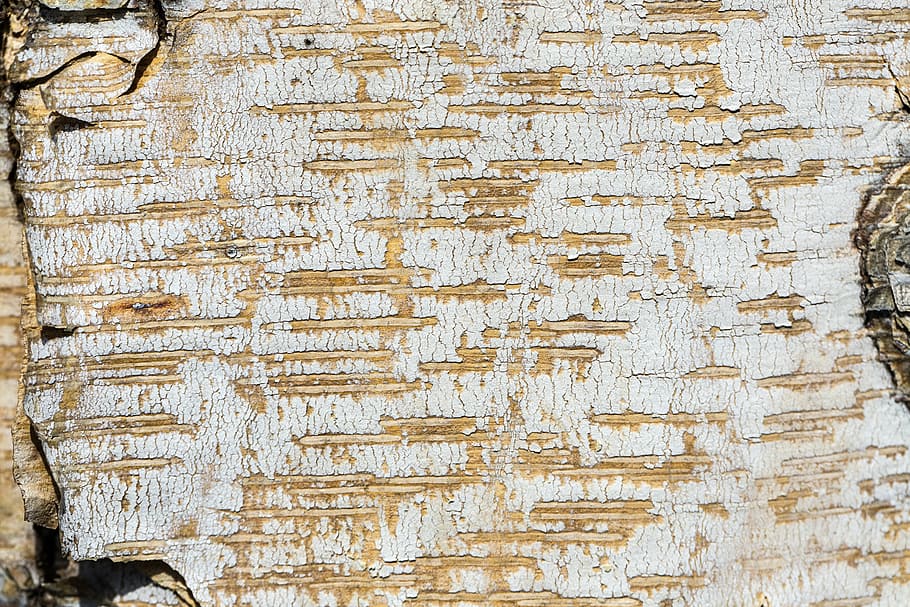 struktur, bark, træ, natur, mønstre, riller, revnet, korn, tømmer, bagagerum, krøllet, makro, detaljer, baggrunde, gammel, tekstureret, træ - materiale, ru, mønster, abstrakt, materiale, snavset, forvitret, ingen mennesker, fuld ramme, bygget struktur, arkitektur, dag, murbygningsfunktion, tæt på, udendørs, stor gruppe af objekter, plante, landbrug, høj vinkel visning, overflod, 5K