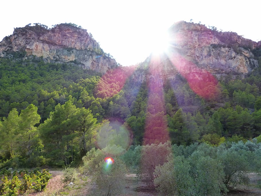 solnedgang, bjerge, Skov, landskab, oliventræer, Priorat, natur, bjerg, træ, udendørs, scenics, rock-objekt, skønhed i naturen, plante, himmel, vækst, dag, jord, scenics - natur, linseflare, ro, rolig scene, solstråle, rigtige mennesker, grøn farve, sollys, ikke-urbane scene, en person, sol, lyse, 4K
