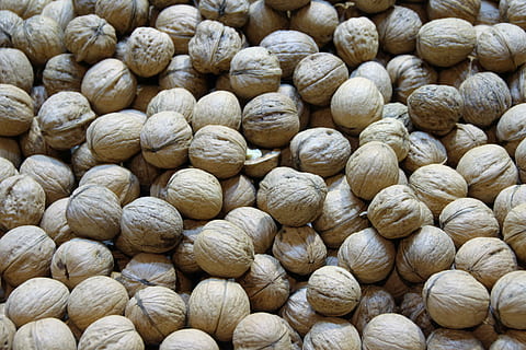 vlašské ořechy, ořechy, makro, zavřít, sazenice, vlašský ořech, matice, jíst, jídlo, hnědý, ovocná boule, shell, směs matic, zdravý, arašídy, výživa, Svačina, dort, vlašské ořechy v pytli, vlašské ořechy v košíku, strom, upéct, Vánoce, rostlina, příchod, nukleární, velká skupina objektů, jídlo a pití, hojnost, pozadí, celý rám, stálý život, Zdravé stravování, nikdo, svěžest, blahobyt, ořech - jídlo, na prodej, detail, maloobchodní, uvnitř, den, trh, 5K, CC0, veřejná doména, bez autorských práv