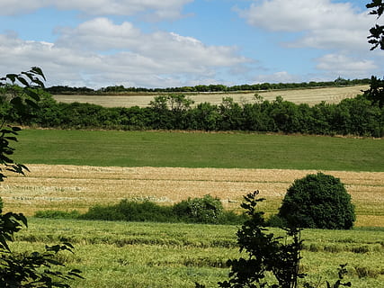 câmpuri, peisaj, natură, arabil, agricultură, plantă, copac, camp, teren, mediu inconjurator, o scenă liniștită, cer, liniște, creştere, frumusețe în natură, nor - cer, scenice - natura, Culoarea verde, nici o persoana, zi, rural, iarbă, în aer liber, plantaţie, 2K, CC0, domeniu public, fără drepturi de autor
